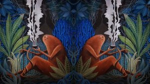 Sounds of Cosmovision Records (Mixed by Samaya) {Folktronica / Tribal Downtempo}