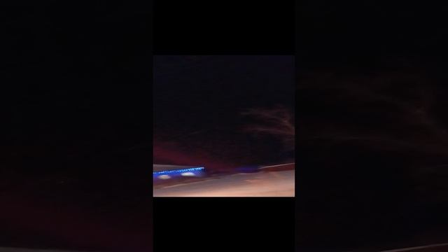 🎆 2025
