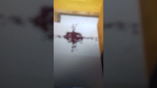 Мяучки дома котят съели их дом белого серого кота обманул меня и чуть не съел мега страшилка 2