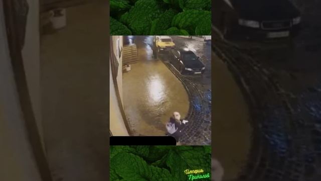 Гололёд. Сольное выступление!