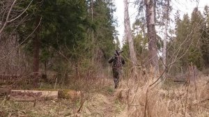 фотоохота / cнимаю на canon 600D / объектив canon 70-300 is usm