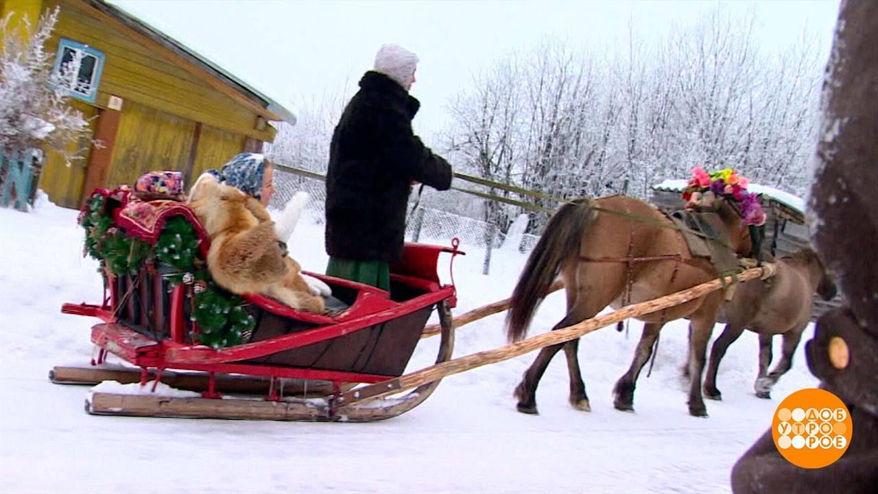 Киров: в Новый год - на санях! Доброе утро. Фрагмент выпуска от 31.12.2024