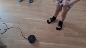 Балуются с колонкой Алиса Мини