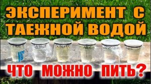 ОЧИСТКА ВОДЫ. ОБЕЗЗАРАЖИВАНИЕ ВОДЫ. ФИЛЬТРЫ, УФ И ВЫЖИВАНИЕ. Какую воду можно пить без страха.