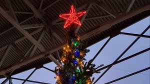 2025 В лесу родилась ёлочка. С наступающим Новым годом!