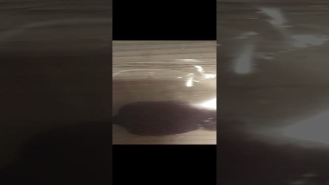 С новым годом😀🎉🎉 смотреть онлайн