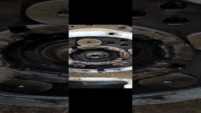 20230320_124434 смотреть онлайн