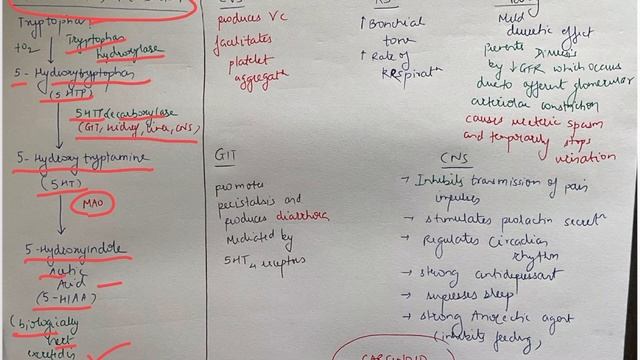 Local hormones part 2 Serotonin physiology Notes
