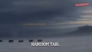 ПЕЛЬМЕНИ В МЕХУ ПОСЛЫШАЛОСЬ   YouTube