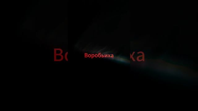 Дачник смешные моменты #дачник #прикол #поржать #смешныемоменты смотреть онлайн