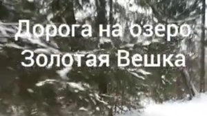 дорога на озеро золотая вешка .Зимой