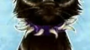 Коты-Воители песня Бича