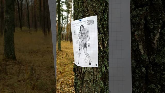 SPAS-12 (СПСА-14) из игры СТАЛКЕР в Реальной Жизни! #Shorts #Сталкер #STALKER смотреть онлайн