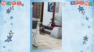 Внуки: Ирам-Дамир 2021