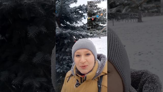 С Новым 2025 Годом Новогодняя Елочка в парке