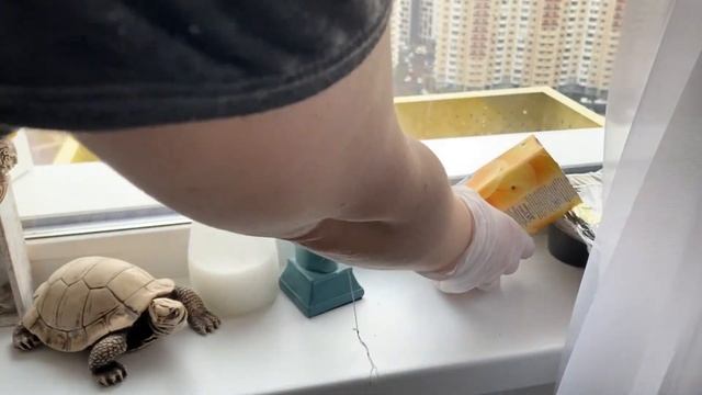 DIY | Кашпо и свеча из цемента | своими руками | горшок смотреть онлайн