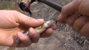 Рыбалка в ручье на кремешках Саров