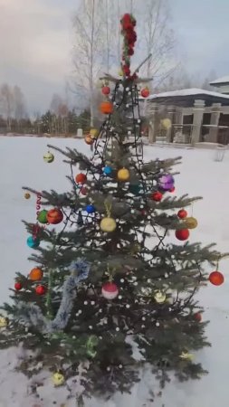 Вошли в 2025, поздравляю