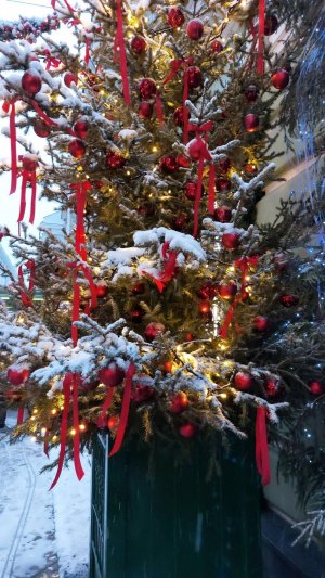 С Новым 2025-м годом 20250101