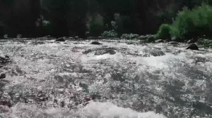 2018-07-12 Сплав по р. Усе