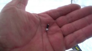 С НОВЫМ 2025 ГОДОМ.ПЕРВЫЙ ДЕНЬ РЫБАЛКИ В НОВОМ ГОДУ.