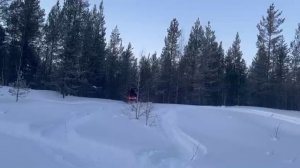 1 января 2025 Аодес 1000 SWT