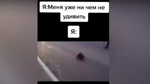 Меня уже ни чем не удивить