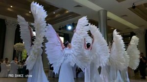 Ангелы на свадьбу в Краснодаре шоу балет PRO.DANCE show