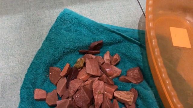 Туалет для крыс 🚽🧻 смотреть онлайн