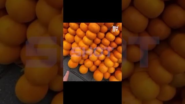 🍊В Абхазии установили 5-метровую мандариновую ёлку