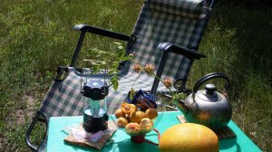 Змею кормить не буду