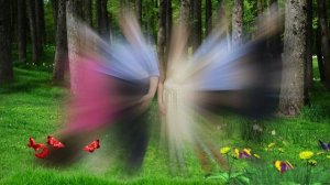 Удивительное открытие