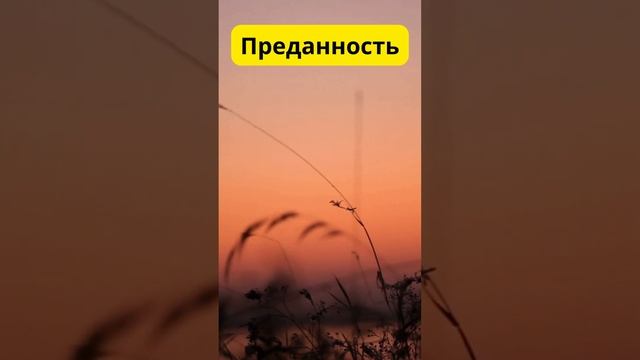 Верность цели: Как преданность помогает достичь великих высот 🎯 #stoicismquotes #спорт #stoicism