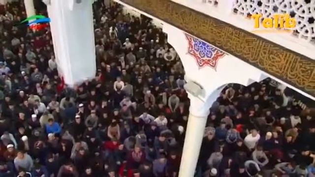 Мустафа Диб Аль-Буга смотреть онлайн