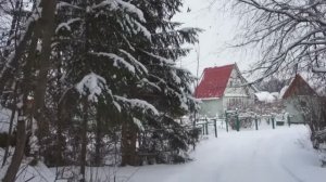 Прогулка по зимним дачам