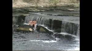 Водопад  на Реке Тосна - 2008