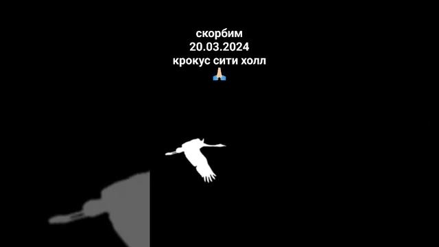 24 марта 2024 г.