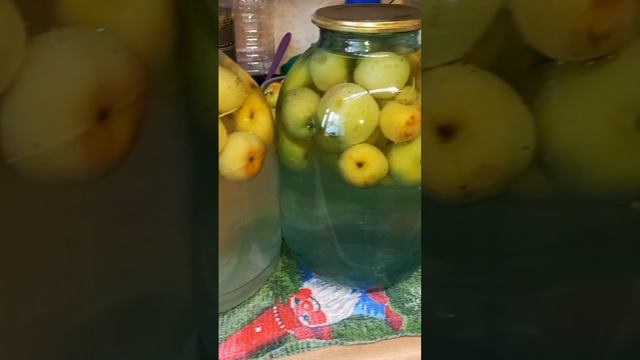 Компот из ранеток за 30 минут🍏 Рецепт в комментариях🫶 #компотизранеток #соления #заготовкиназиму