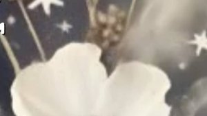 Удивительные истории из жизни - Как мой мир изменился навсегда - Жизненные истории