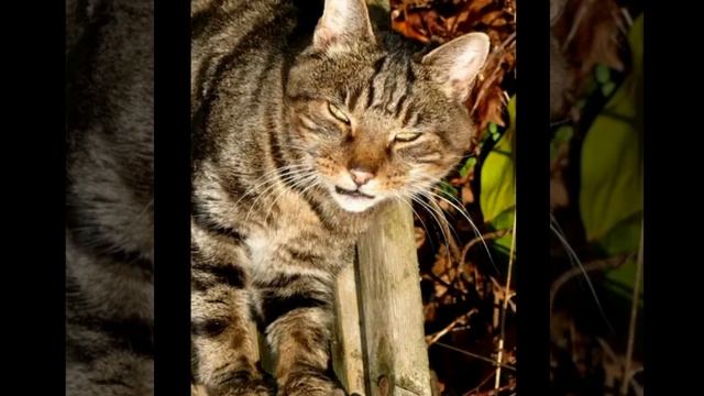 11 мая 2021 г. смотреть онлайн