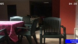 ищу аномалии 2 (мокрица и чёрт)