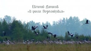 Евгений Данилов "В полях Подмосковья"