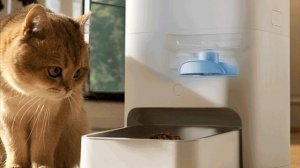 Xiaomi MIJIA Pet Feeder 2 with active feed level monitoring launched for 399 yuan ($58).