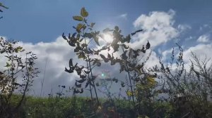 Береговой Джиг! Рыбалка. Нижняя Москва река Рыбалка