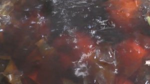 Как красить яйца