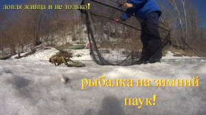 Рыбалка на зимний паук! очень удобно для ловли живца! как поймать живца зимой? очень просто!