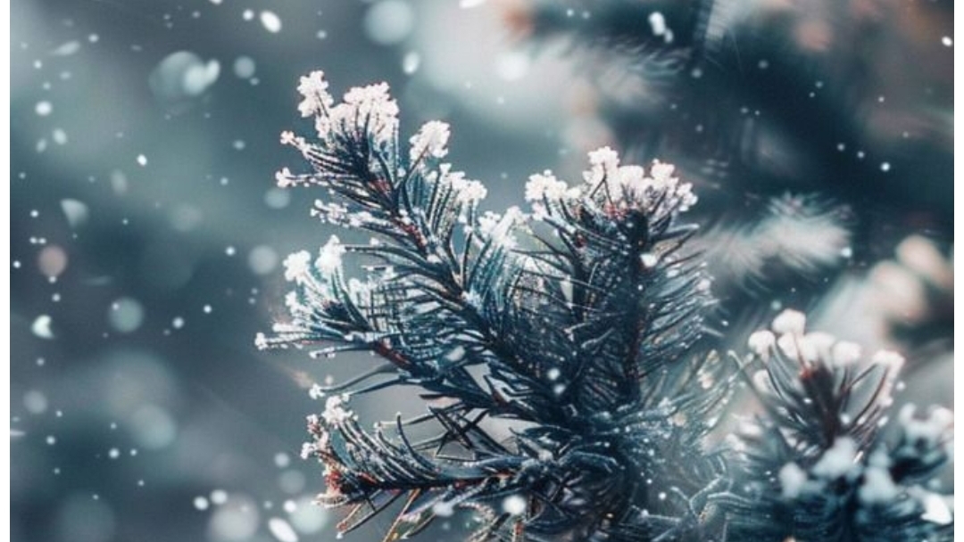 Активные зимние каникулы ❄️😃 #зима #зимниеканикулы