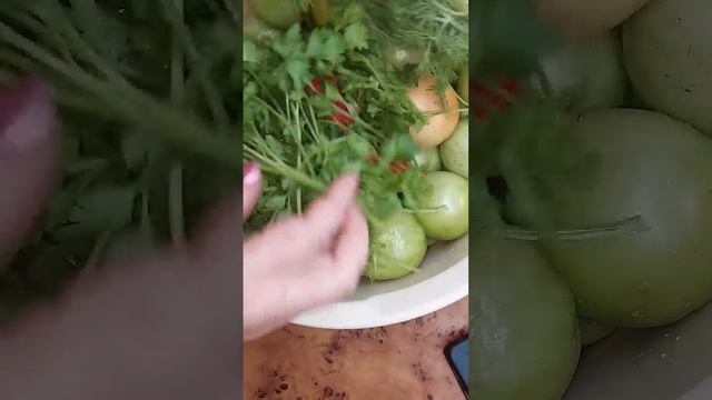 Бочковые зелёные помидоры! Рецепты от Малинки! #зеленыепомидоры