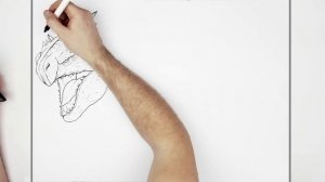 How To Draw Shimo | Step By Step | Godzilla x Kong New Empire