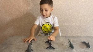 Юный исследователь океана #игрушки #акула #касатка #дельфин #китоваяакула